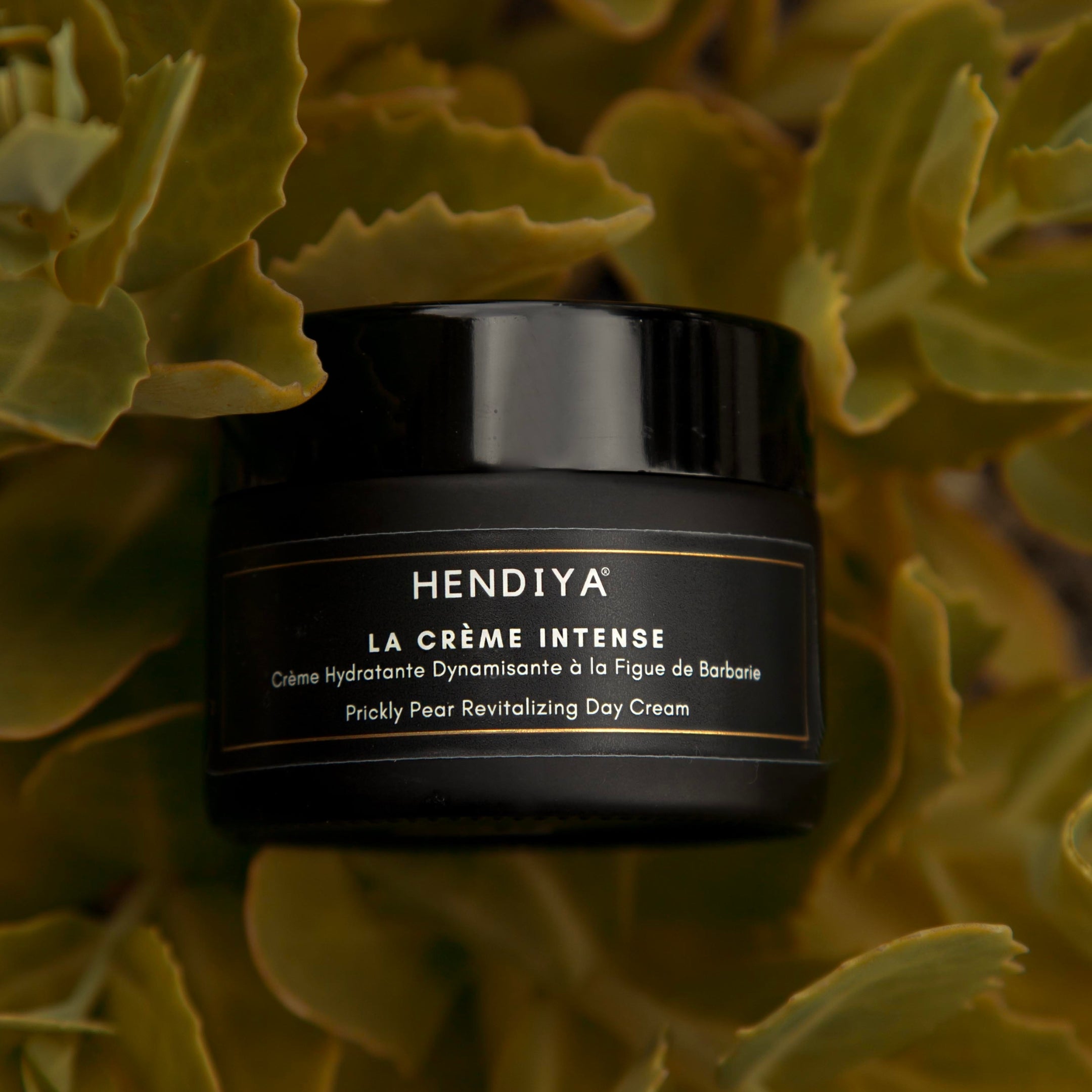 Creme_Intense_Creme_Hydratante_Homme_Figue_de_Barbarie_Hendiya_Bio.jpg